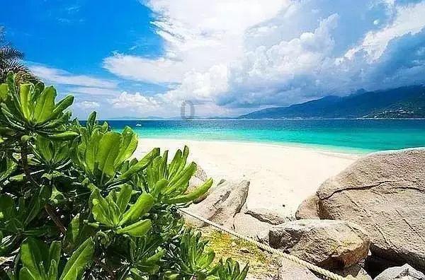 “中国最美小鸟”在厦门找到温暖的家！